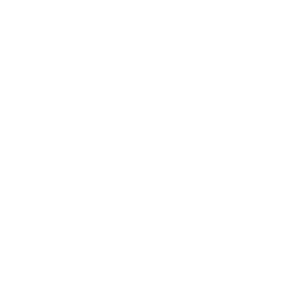 The American Drone Company